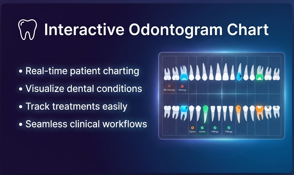 Interactive Odontogram Chart